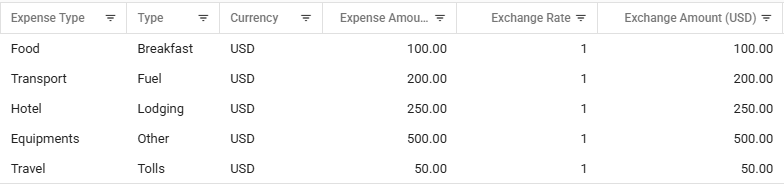 Expense report table with type, currency, and exchange amount columns